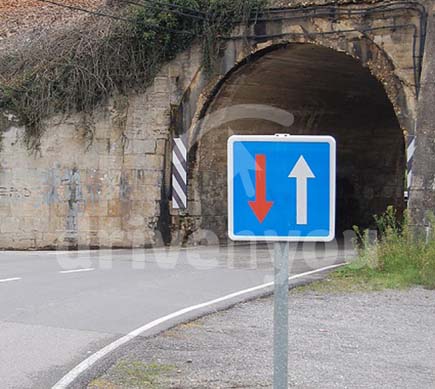 Fotografía de la pregunta 19